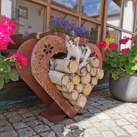 Bauernhof Suesshof Apartment Zwiesel Bagian luar foto